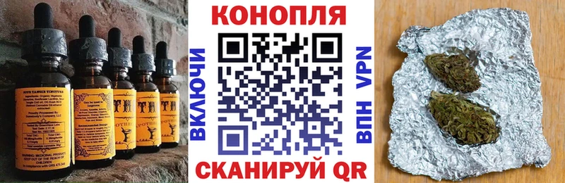 OMG tor  что такое наркотик  Алексеевка  Cannafood марихуана 