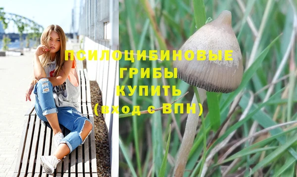 эйфоретик Струнино