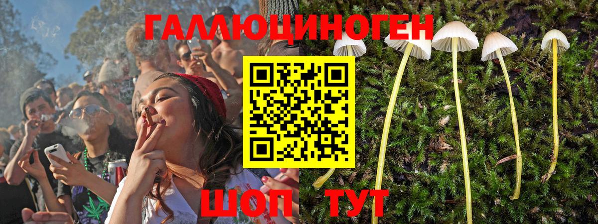 Псилоцибиновые грибы Magic Shrooms  Вход с VPN  Алексеевка 