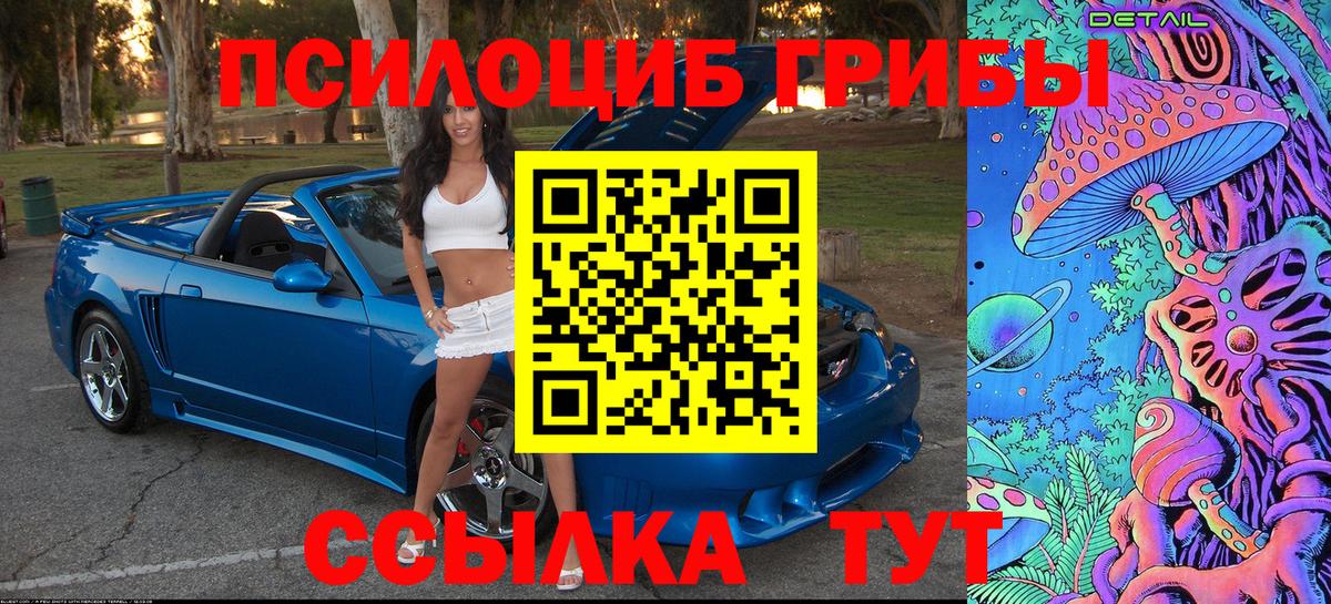 Псилоцибиновые грибы прущие грибы  Псилоцибиновые грибы Cubensis  купить  сайты  Алексеевка 