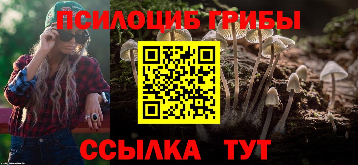 где найти наркотики  Псилоцибиновые грибы Psilocybe  Вход с VPN  Алексеевка 